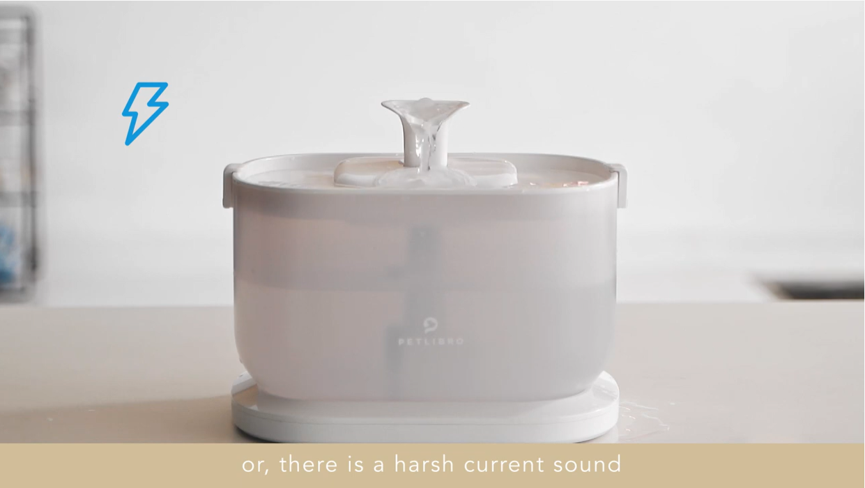 An application scenario or product detail of petlibro water - Image 22