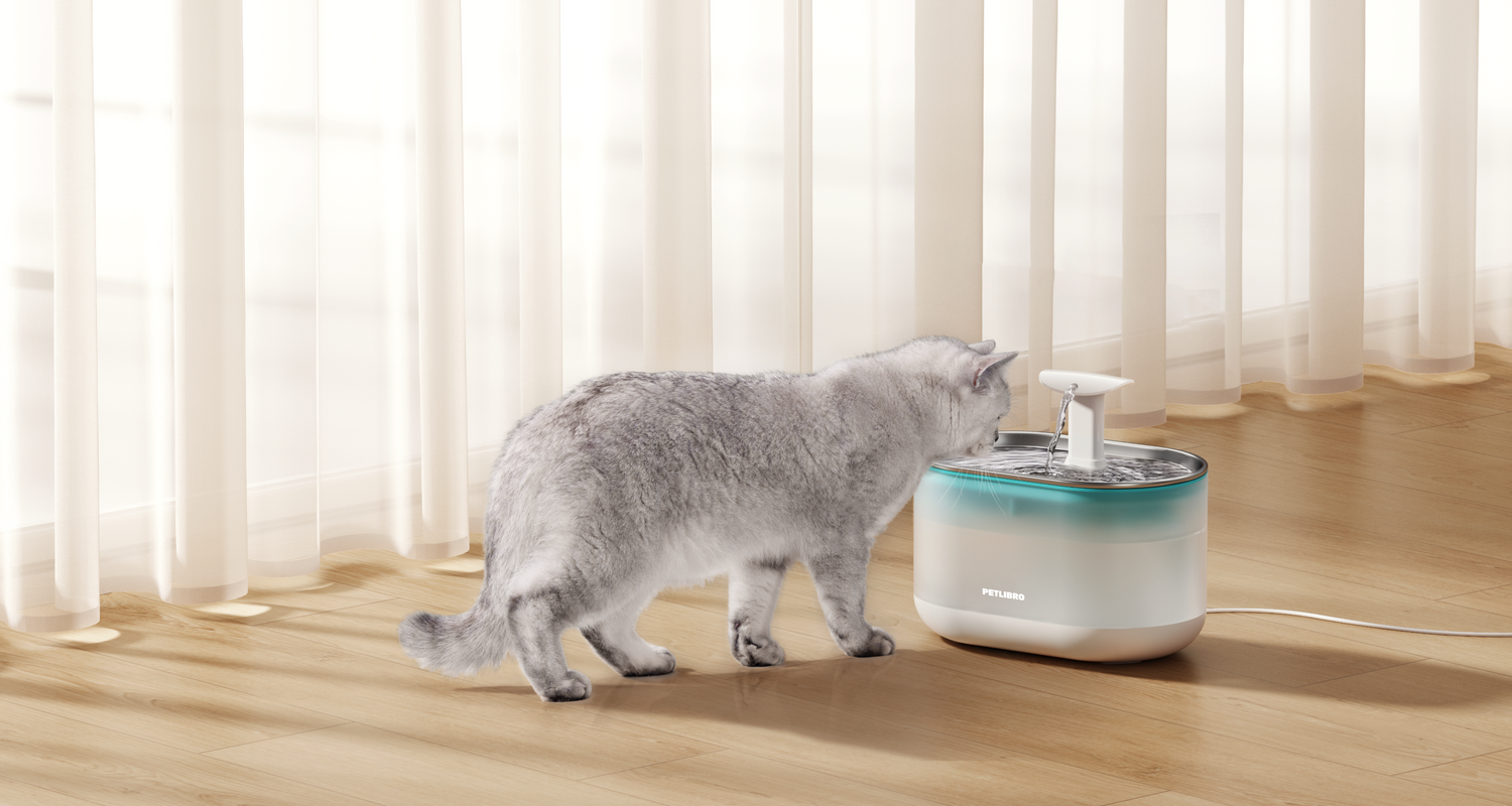 An application scenario or product detail of petlibro water fountain - Image 21