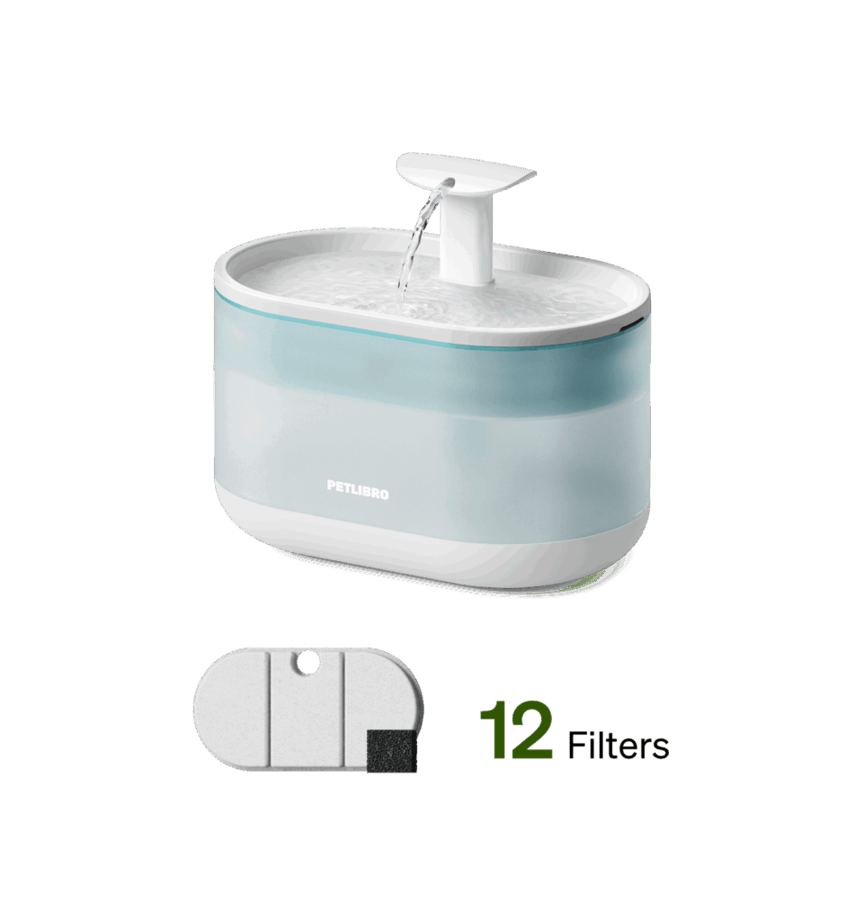 Featured image for the petlibro water fountain guide
