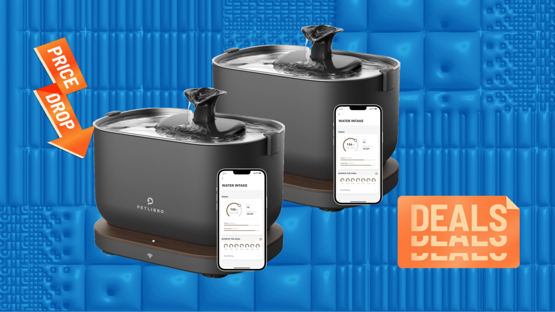 An application scenario or product detail of petlibro water fountain reviews - Image 10