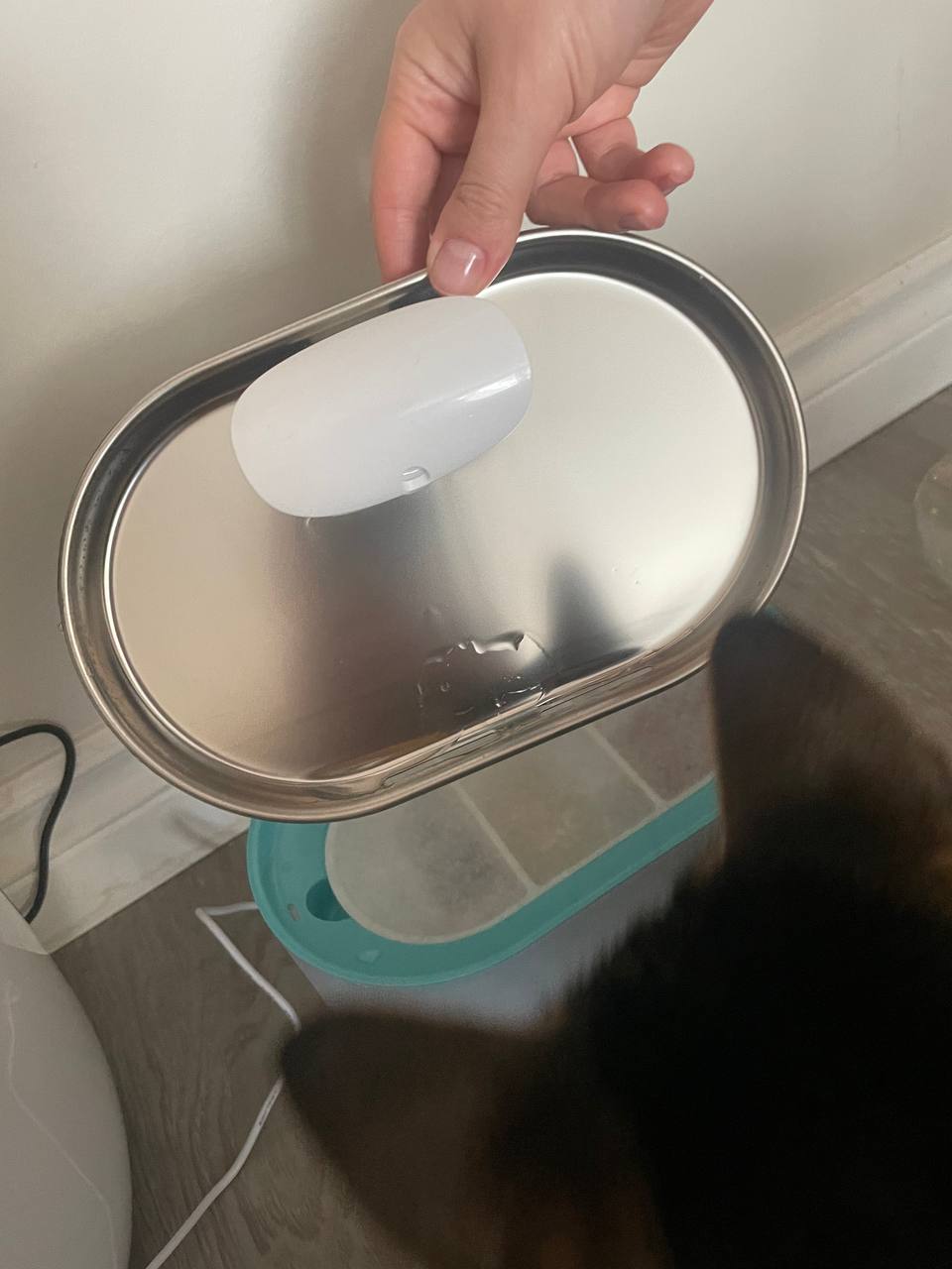 An application scenario or product detail of petlibro water fountain reviews - Image 19