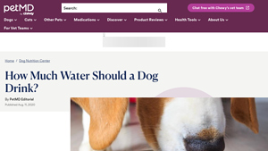 PetMD - Dog Hydration Guide
