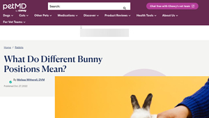 PetMD - Rabbit Behavior Insights