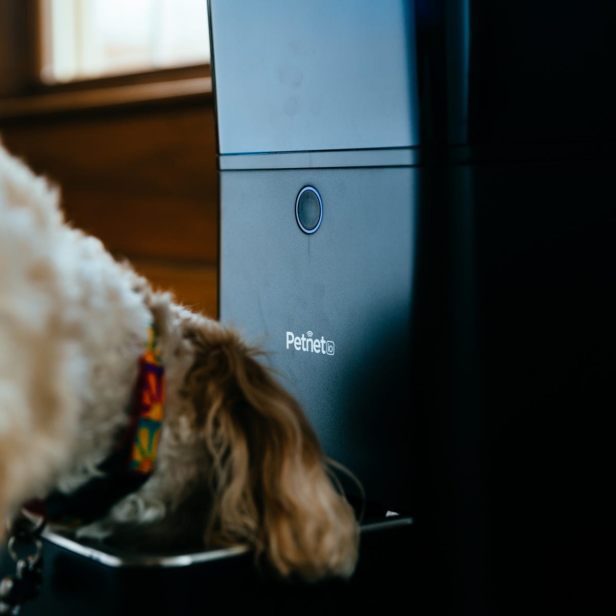 An application scenario or product detail of petnet feeder - Image 20