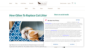 PetPlay - Types of Cat Litter