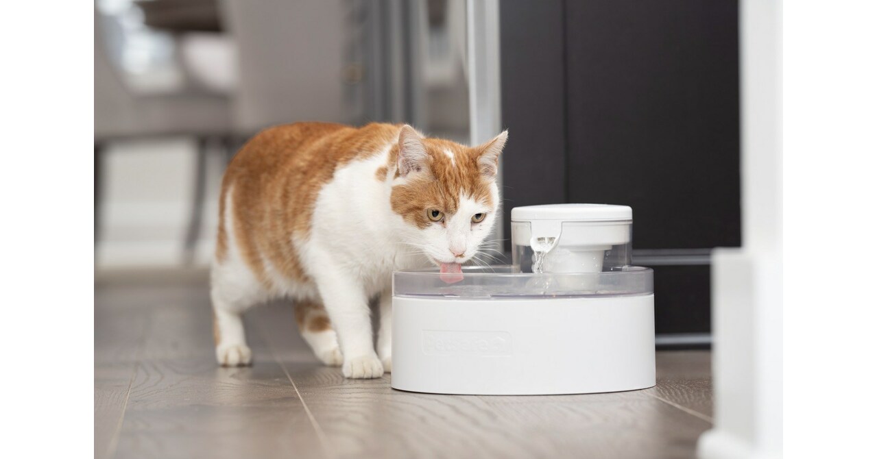 An application scenario or product detail of petsafe fountain cleaning - Image 14