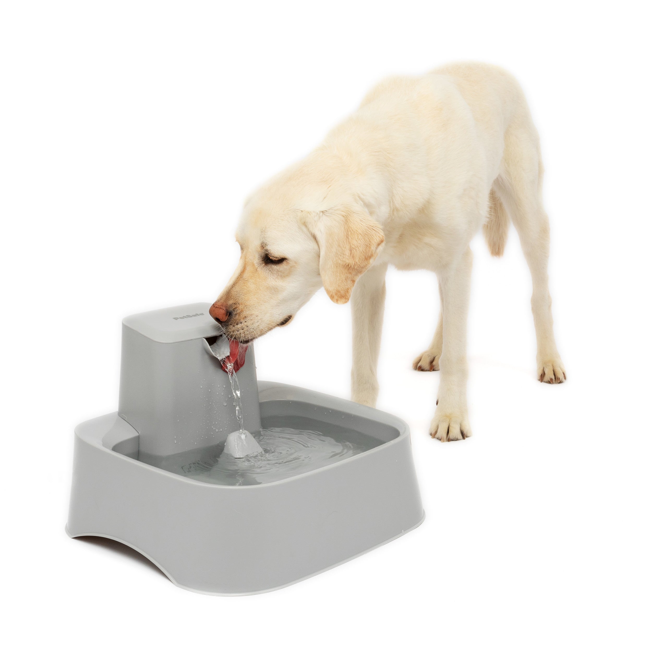 An application scenario or product detail of petsafe water fountain - Image 5
