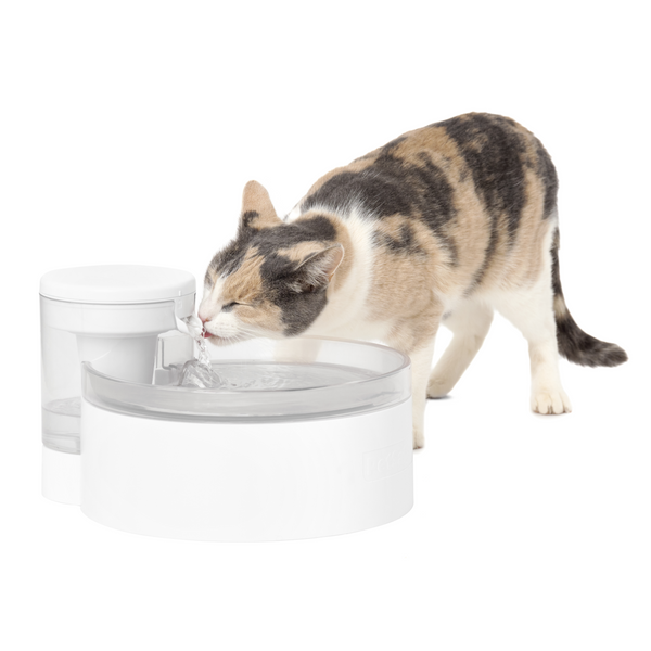 Featured image for the petsafe water fountain guide
