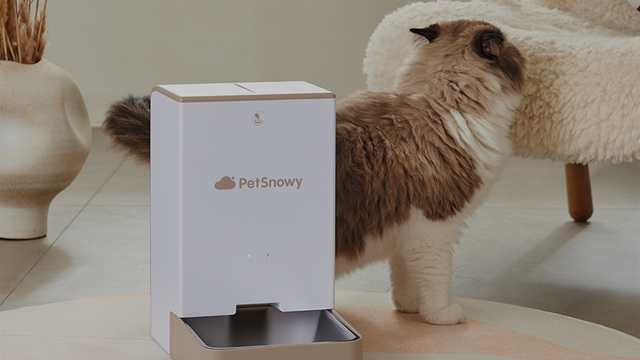 An application scenario or product detail of petsnowy feeder - Image 7