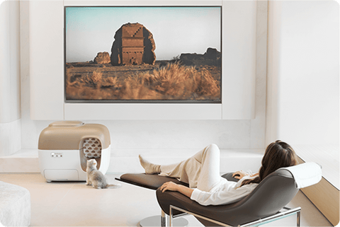 An application scenario or product detail of petsnowy feeder - Image 13