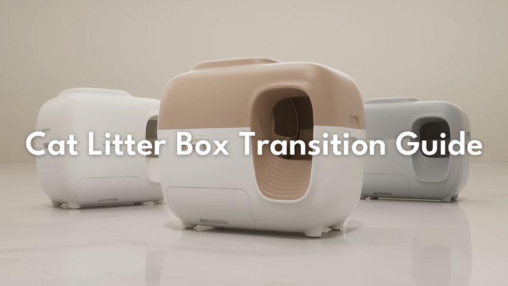 An application scenario or product detail of petsnowy feeder - Image 17