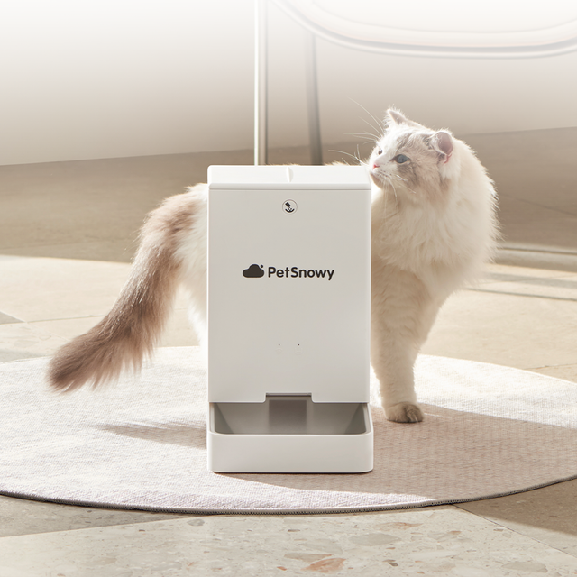 Featured image for the petsnowy feeder guide