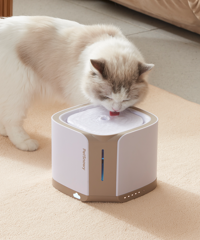 Featured image for the petsnowy water fountain guide