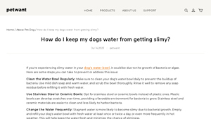 Petwant - Pet Water Bowls and Fountains