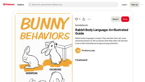 Pinterest - Rabbit Body Language Guide