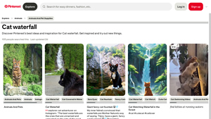 Pinterest - Cat Waterfall Collection