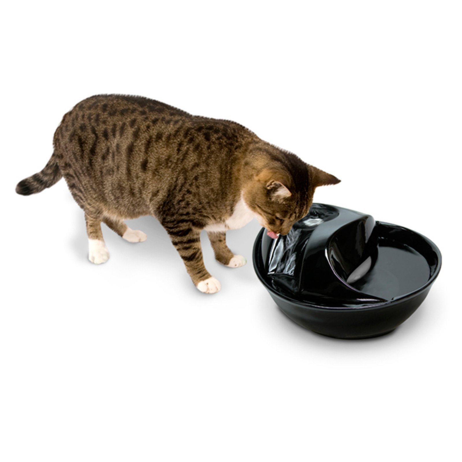 An application scenario or product detail of pioneer pet raindrop fountain - Image 7