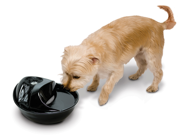 An application scenario or product detail of pioneer pet raindrop fountain - Image 19