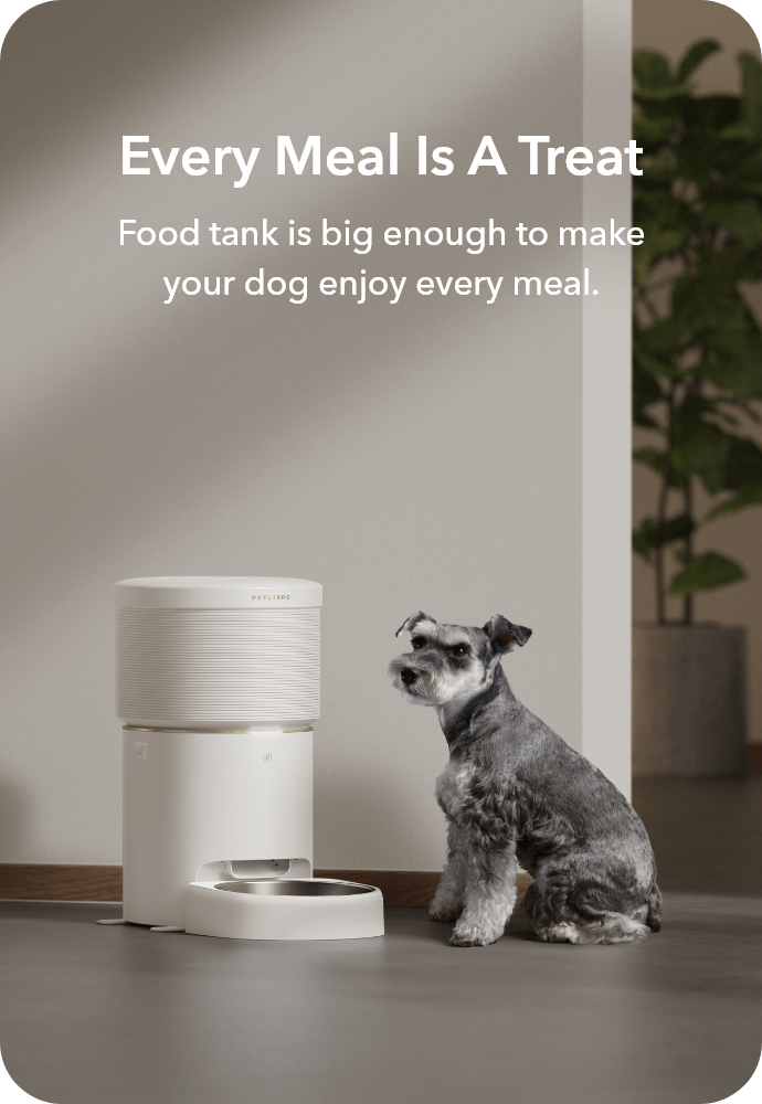An application scenario or product detail of pit pet automatic feeder - Image 15