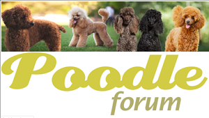 Wahl - Regular Clippers for Standard Poodles