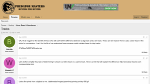 Predator Masters - Cat Track Identification