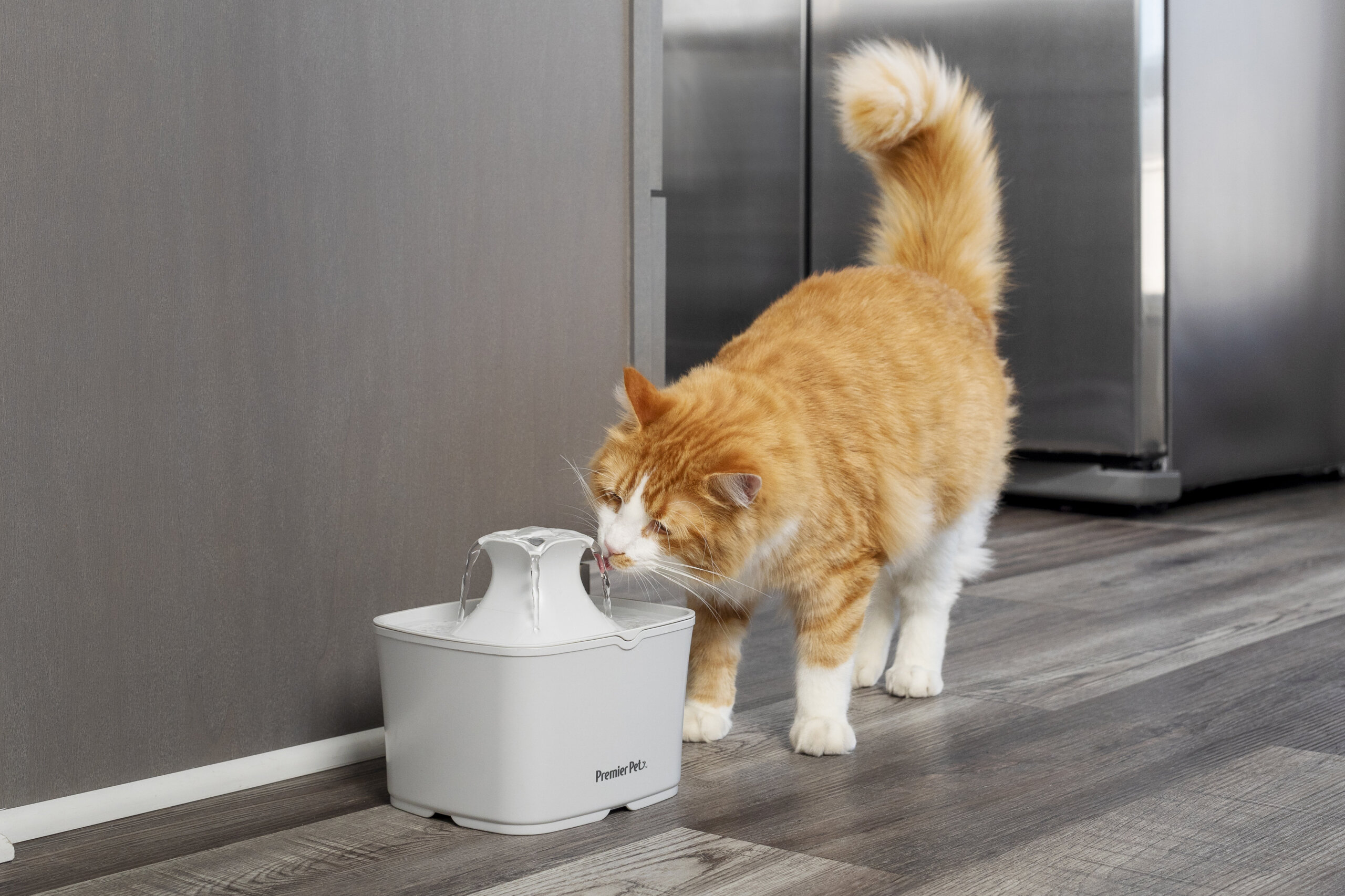 An application scenario or product detail of premier pet fountain - Image 16