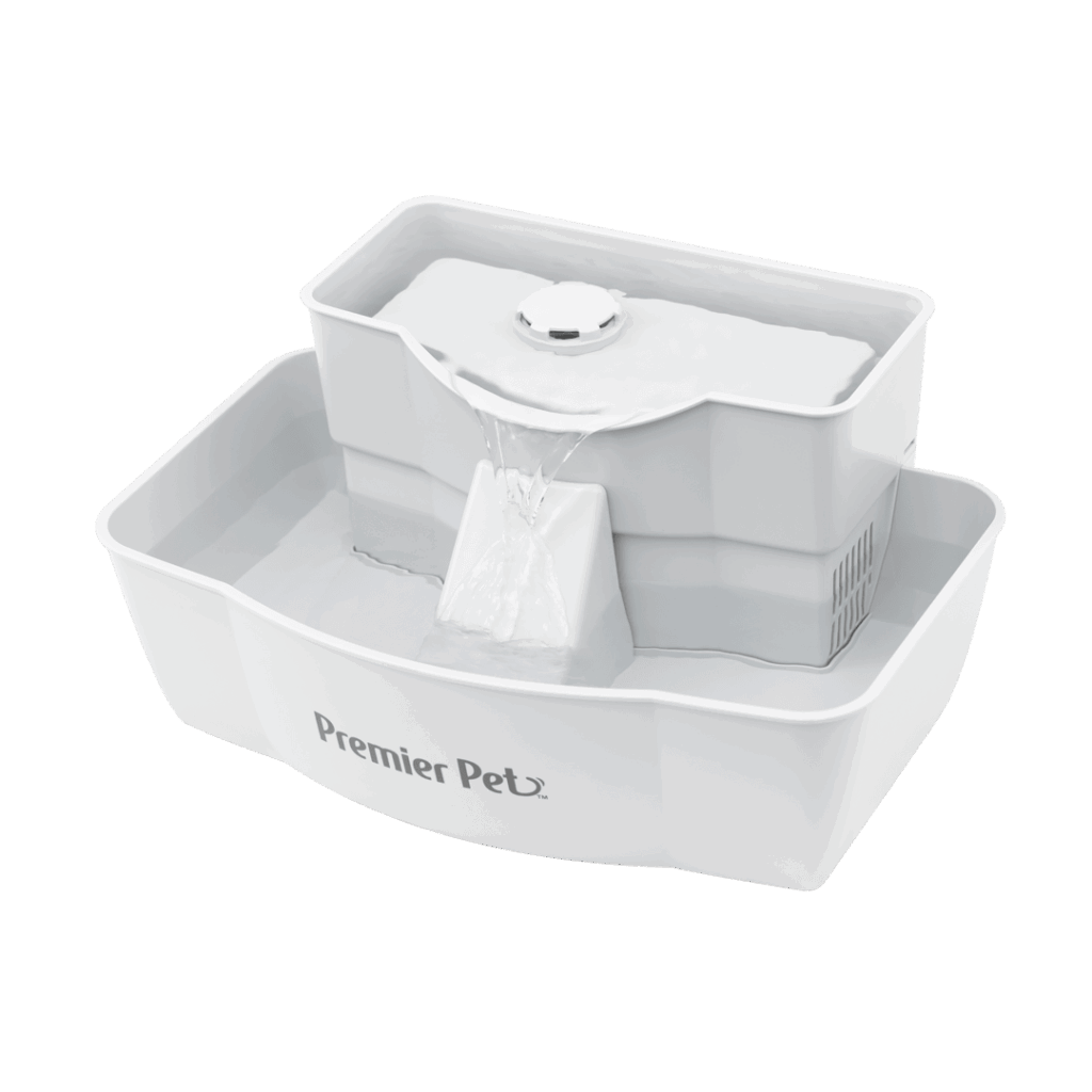 Featured image for the premier pet fountain guide