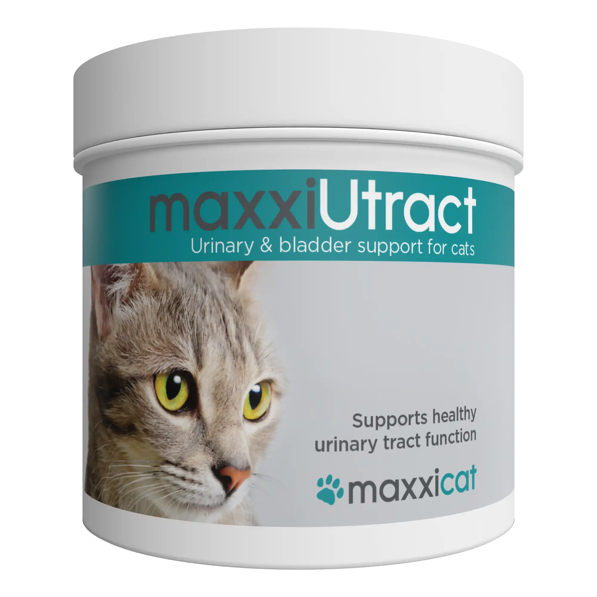 An application scenario or product detail of preventing urinary tract infections in cats - Image 14