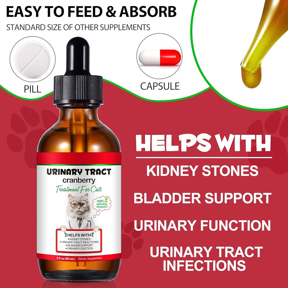 An application scenario or product detail of preventing urinary tract infections in cats - Image 17