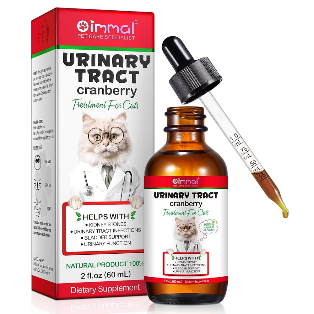 Featured image for the preventing urinary tract infections in cats guide