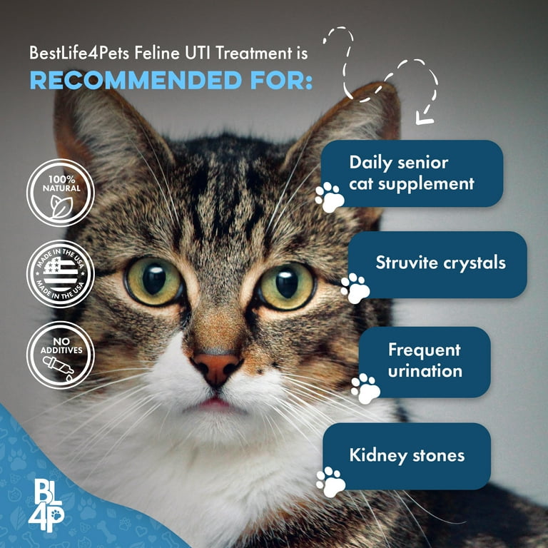 An application scenario or product detail of preventing uti in cats - Image 14