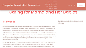 Pumpkin's Acres - Caring for Mama and Her Babies