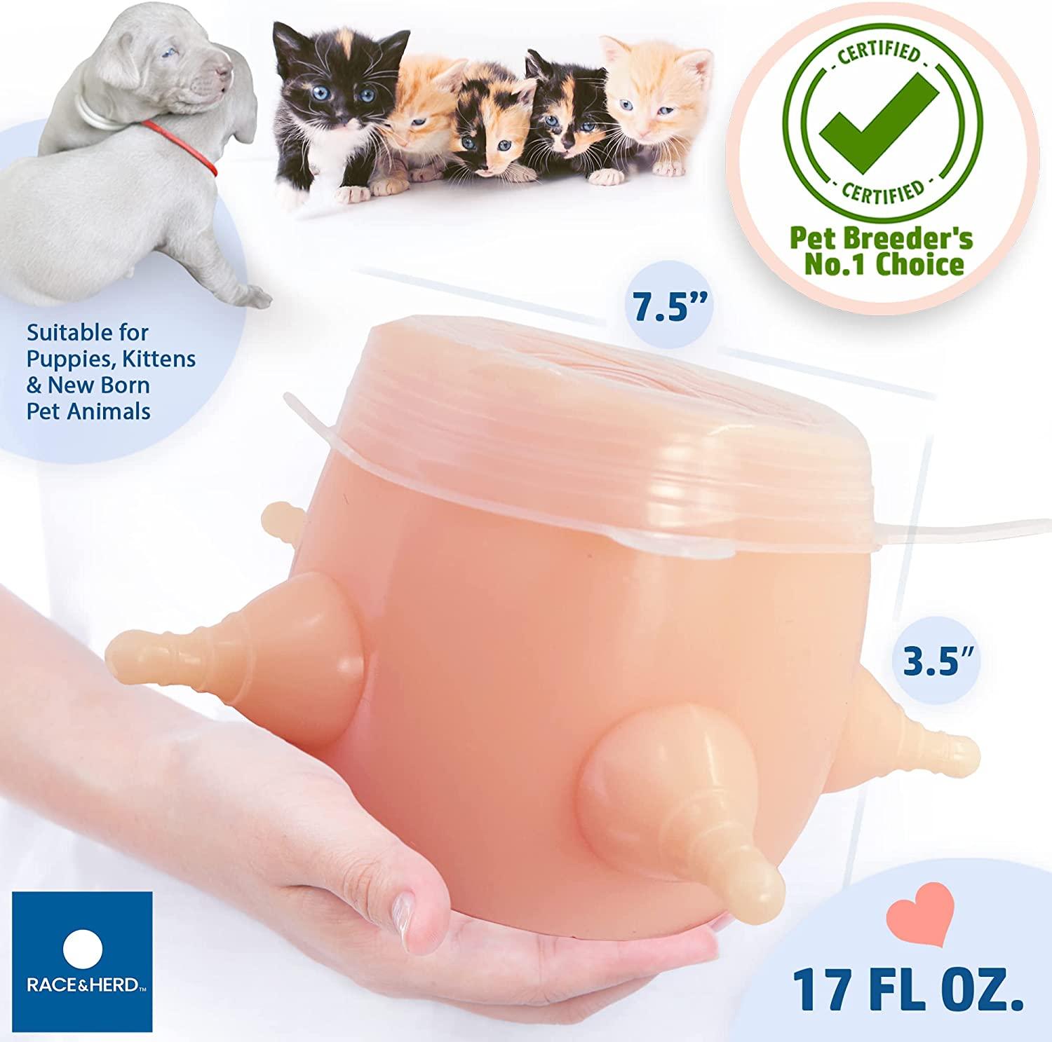 An application scenario or product detail of puppy feeders - Image 6