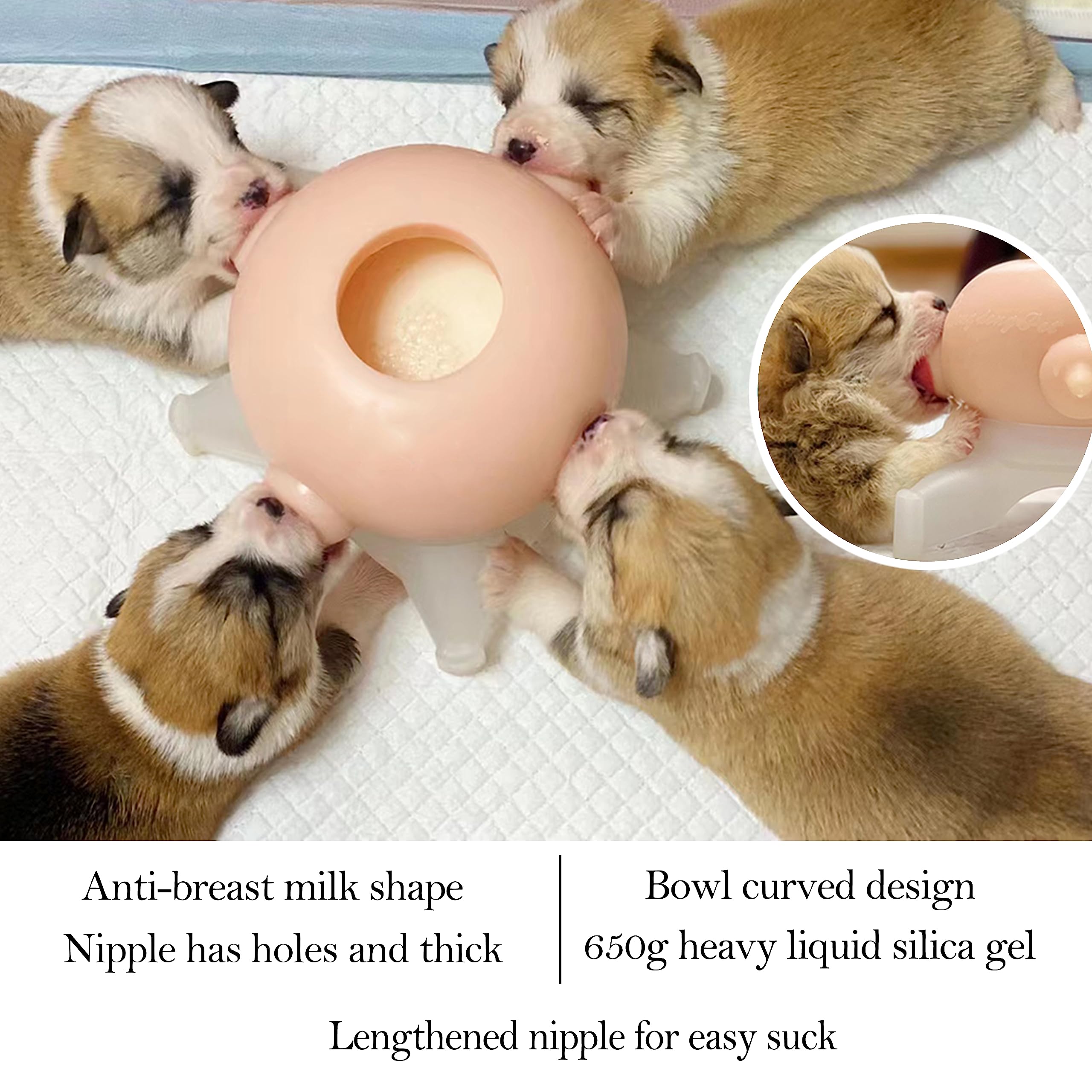 An application scenario or product detail of puppy feeders - Image 15