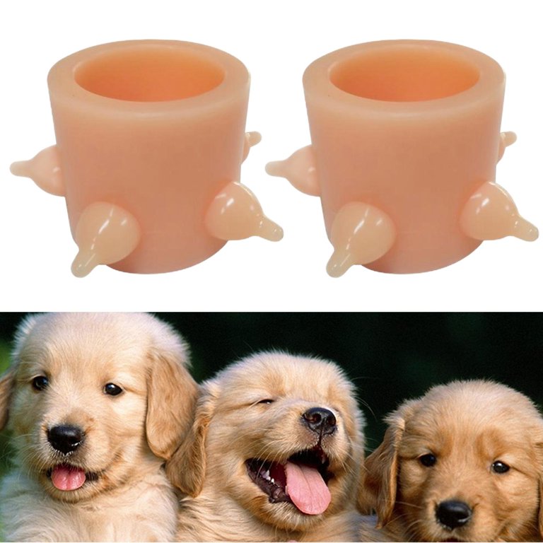 An application scenario or product detail of puppy feeders - Image 18