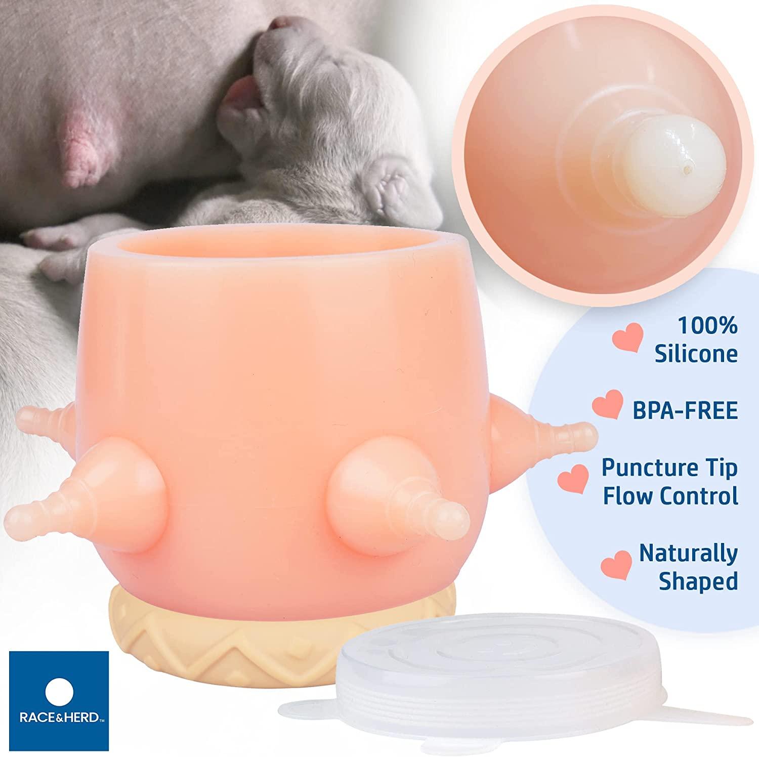 An application scenario or product detail of puppy feeders - Image 19