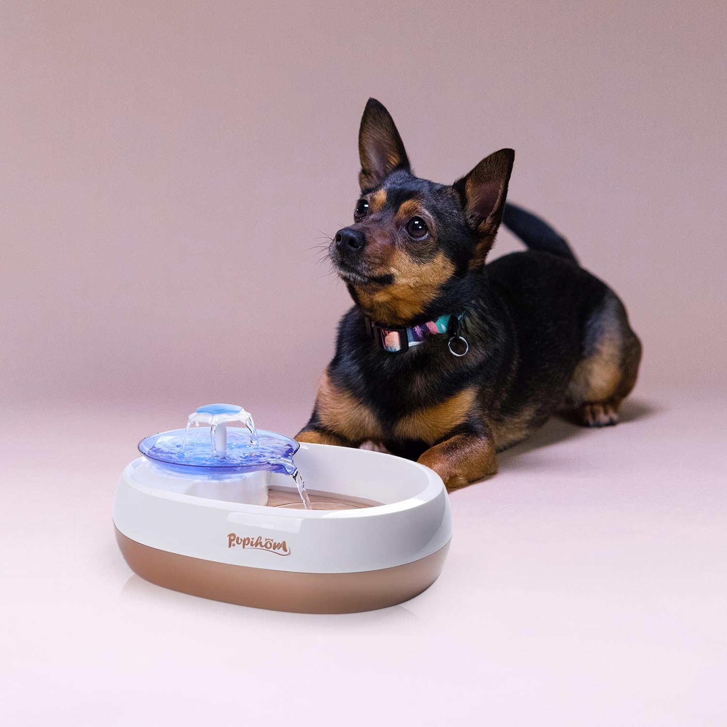 An application scenario or product detail of puppy water fountain - Image 16