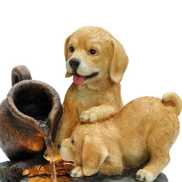 An application scenario or product detail of puppy water fountain - Image 19