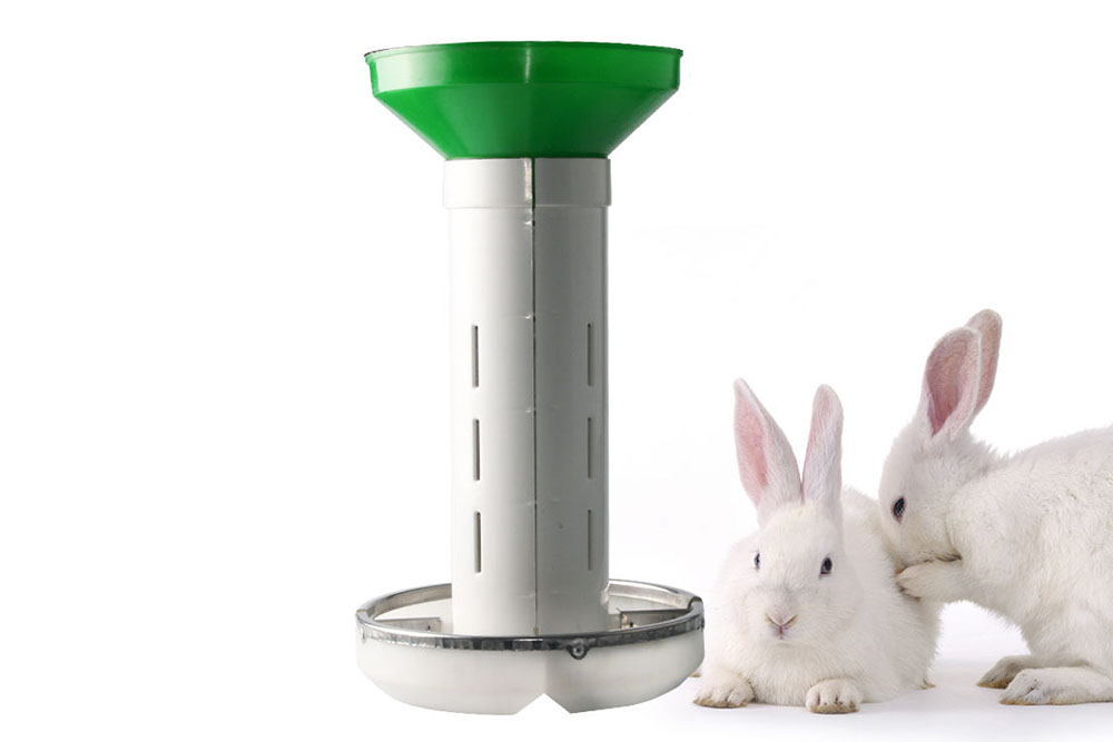 An application scenario or product detail of rabbit auto feeder - Image 13