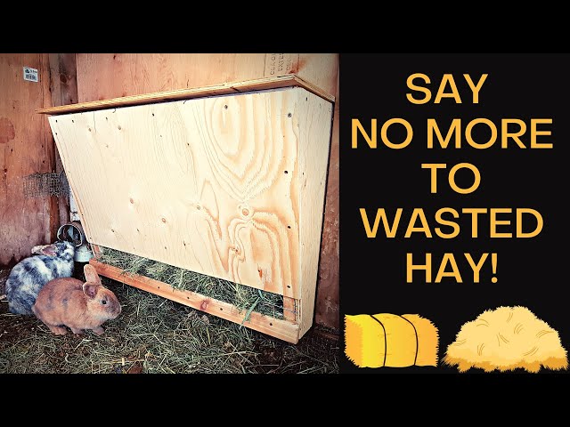 An application scenario or product detail of rabbit auto feeder - Image 19