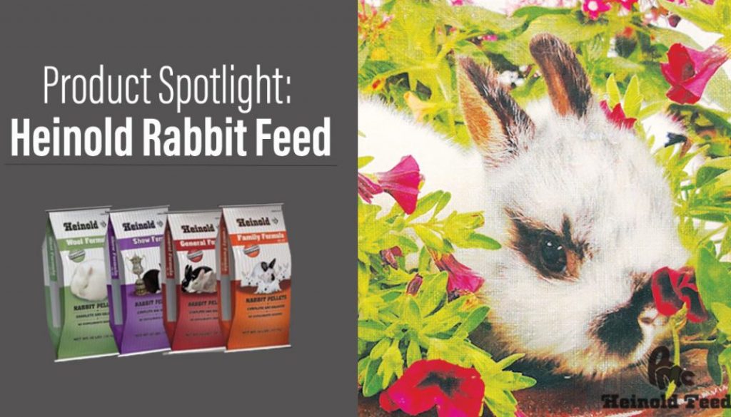 An application scenario or product detail of rabbit how much to feed - Image 16