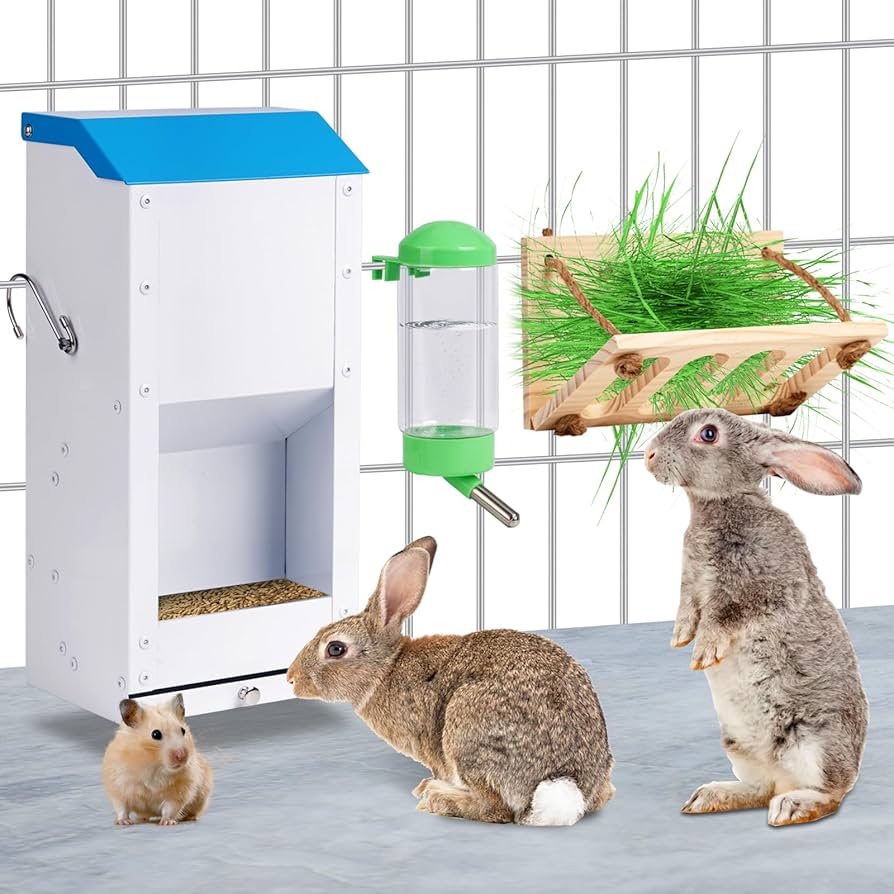 An application scenario or product detail of rabbit how much to feed - Image 20
