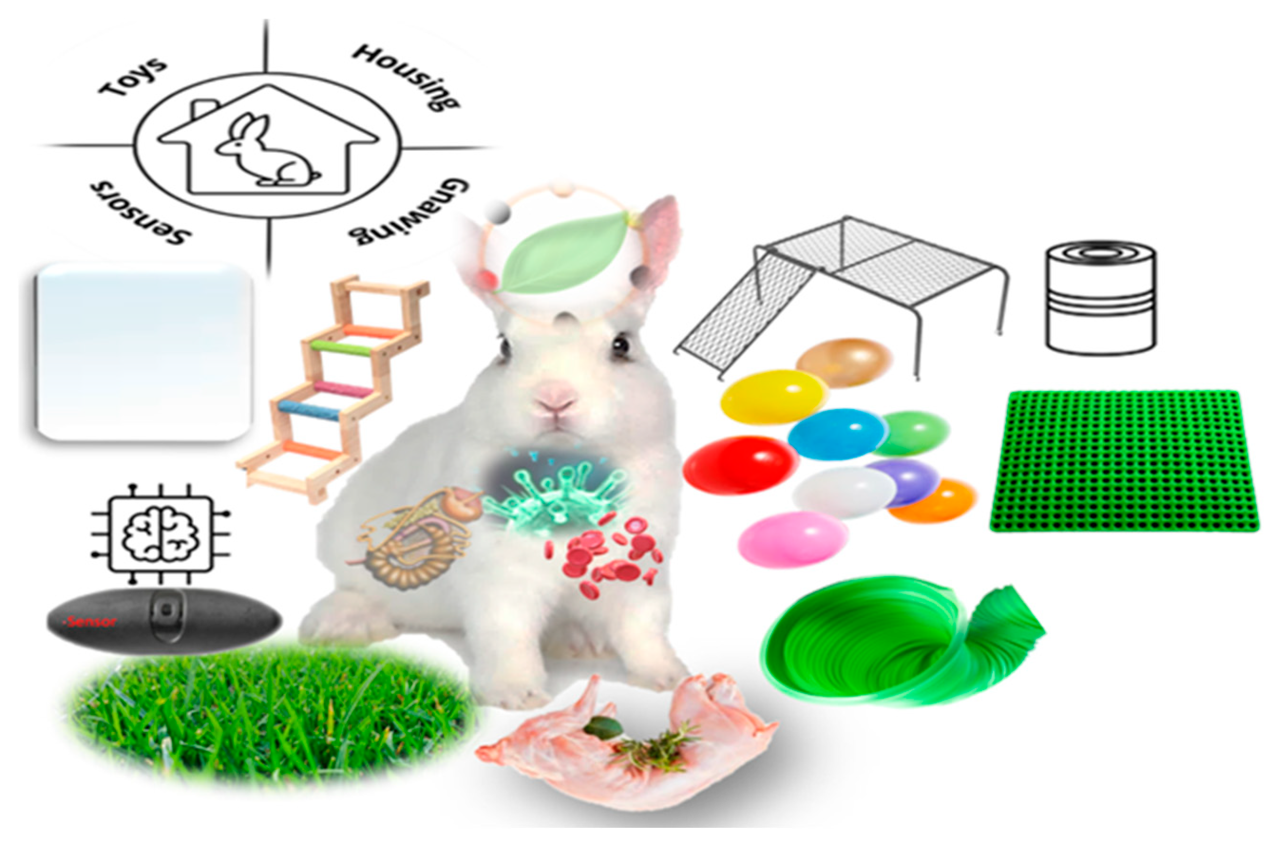 An application scenario or product detail of rabbit temperament - Image 13