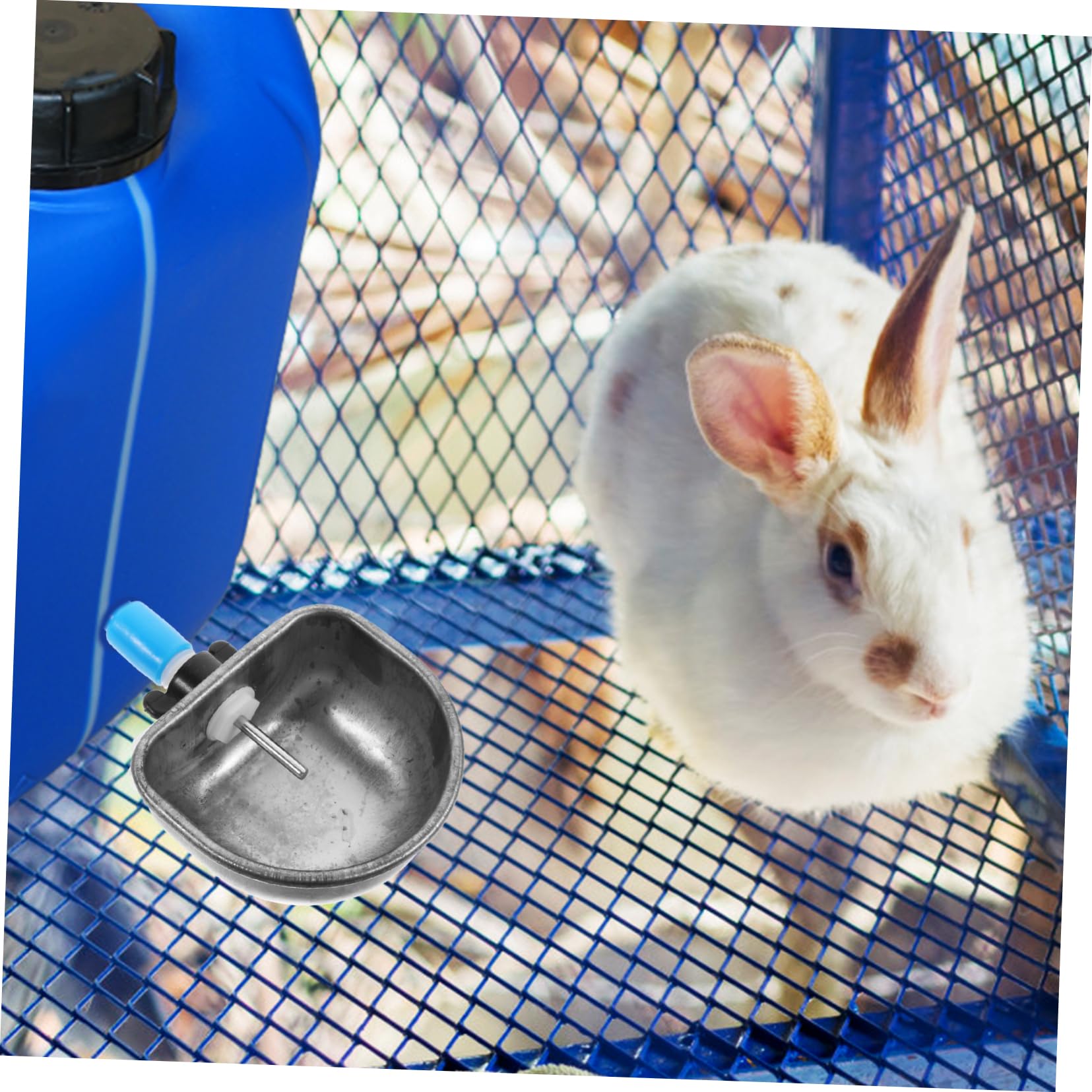 An application scenario or product detail of rabbit water fountain - Image 5