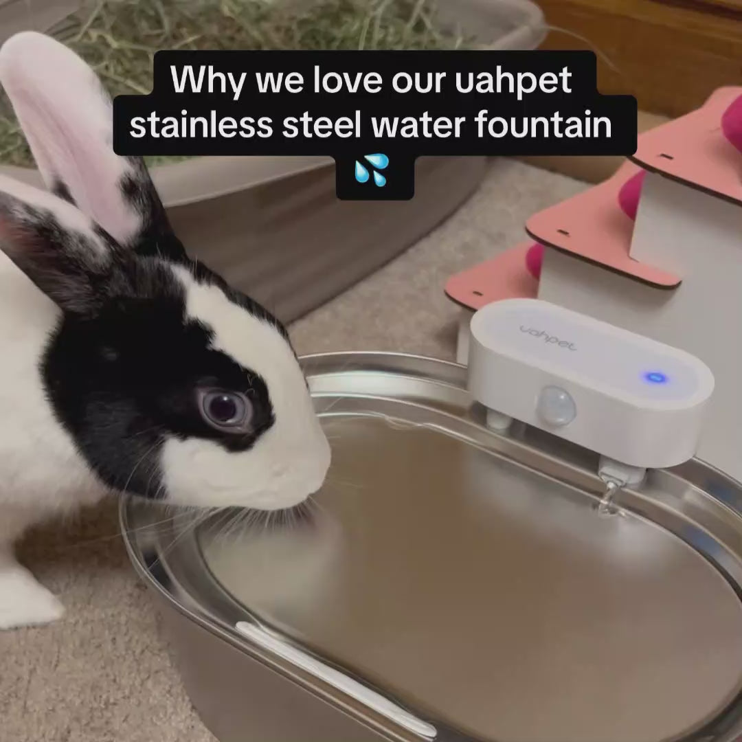 An application scenario or product detail of rabbit water fountain - Image 11