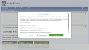 Rabbittalk - Large-Breed Doe Feeding Guide