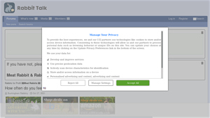 Rabbittalk - Cute Faux Rabbit Fur Ball Keychain