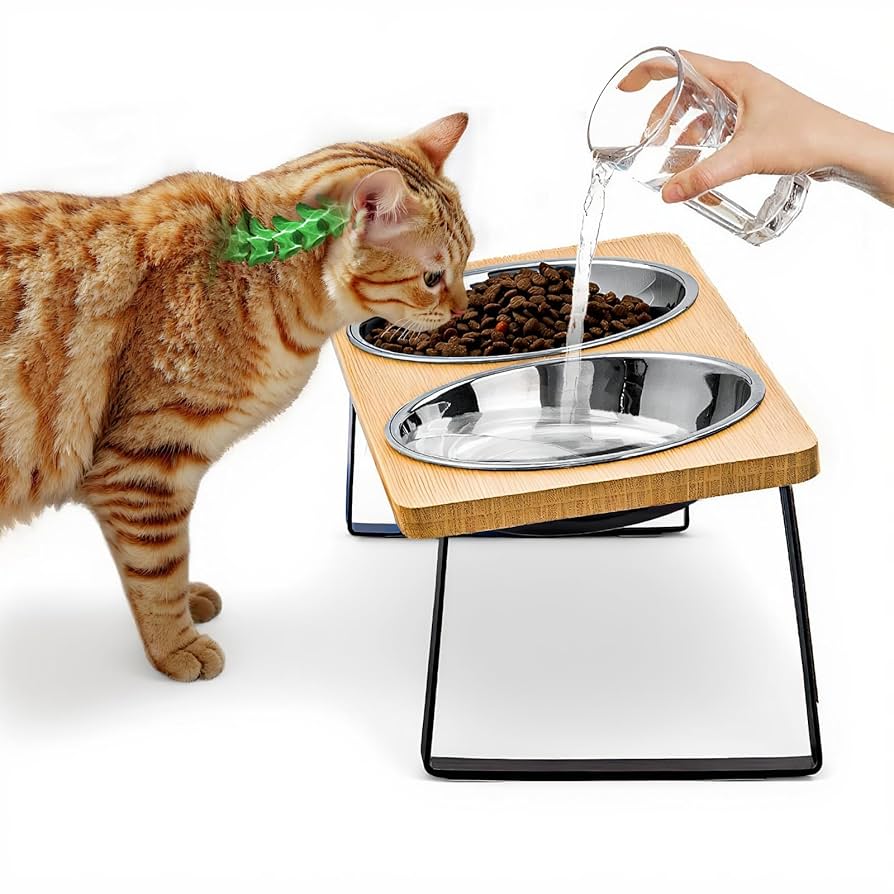 An application scenario or product detail of raised cat water bowl - Image 3