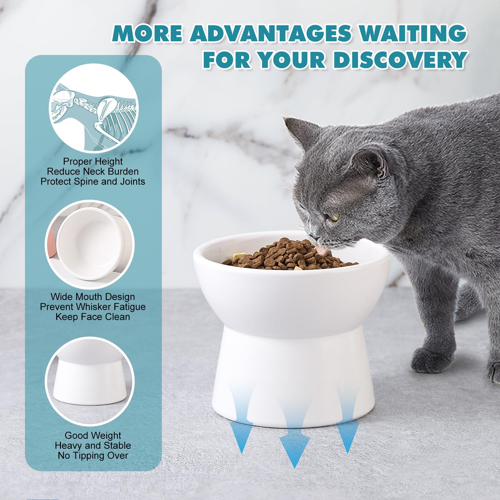 An application scenario or product detail of raised cat water bowl - Image 6