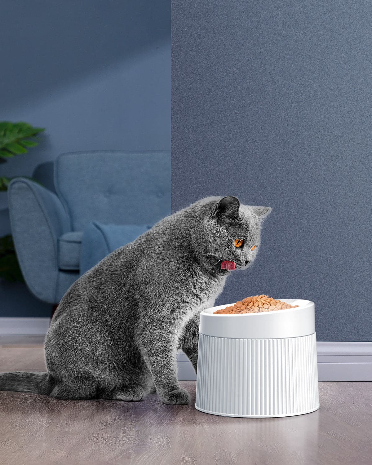 An application scenario or product detail of raised cat water bowl - Image 9